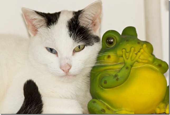 Rosie and frog