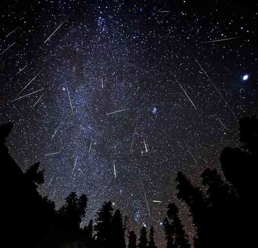 Orionid meteors