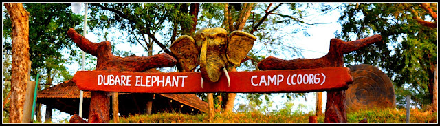 Dubare Elephant Camp