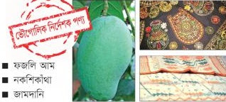 জামদানি ফজলি আম নকশিকাঁথা তুমি কার? by ইফতেখার মাহমুদ