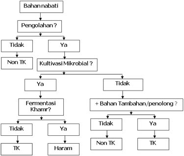 Identifikasi Titik Kritis Bahan Nabati ~ Kehidupan yang 