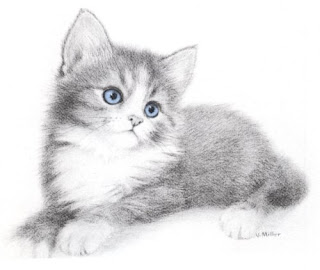 Desenhos Para Colori gatos de estimação desenhar