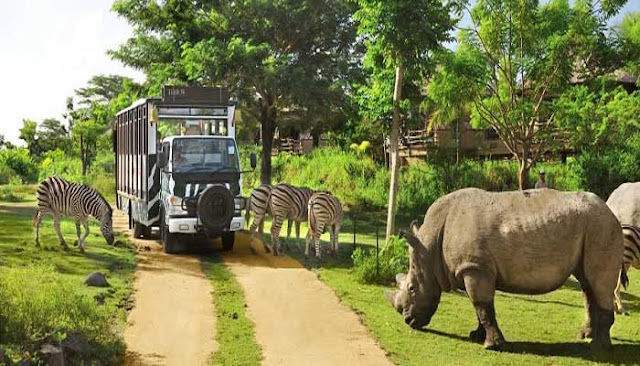 Tempat Wisata Terbaik Di Gianyar Pulau Bali  