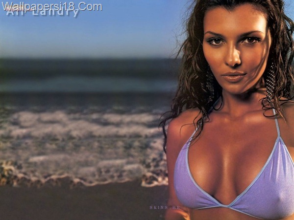 American Model Ali Landry High Profile Pictures 