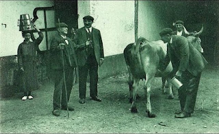 PAYS BASQUE 1900