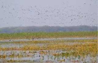 India’s 10 More Wetlands got the Ramsar Site Tag