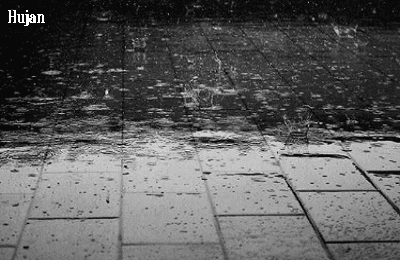 Puisi tentang hujan dengan judul puisi rinai hujan