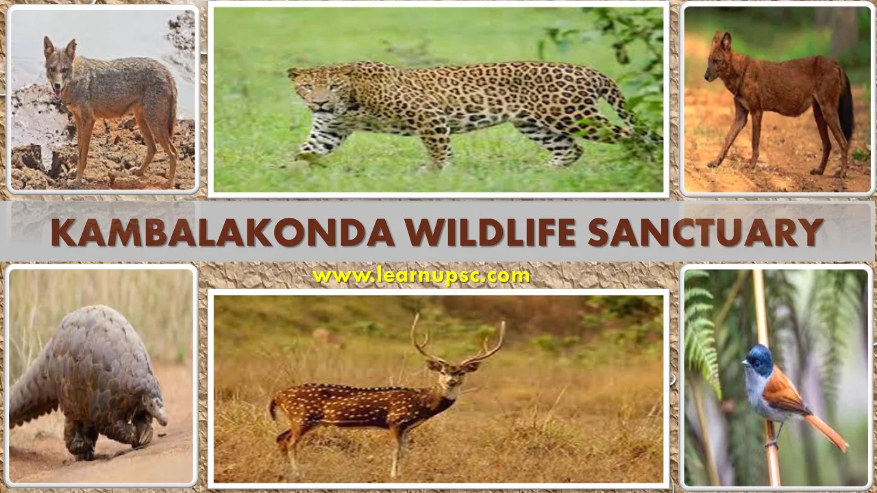 Kambalakonda Wildlife Sanctuary