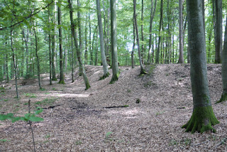 Nordwestliche und nördliche Ecke der Keltenschanze Holzhausen 2