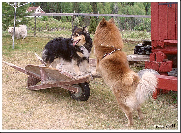 dag 004
