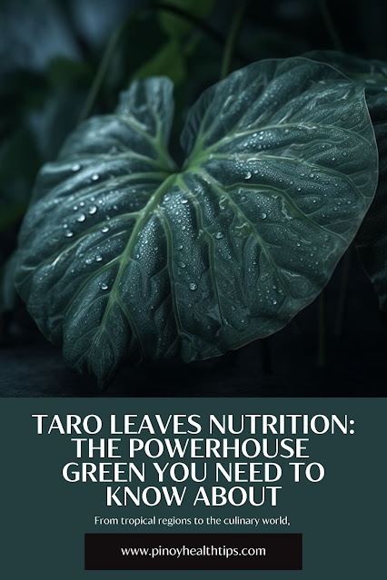 Taro Leaves Nutrition The Powerhouse Green You Need to Know About