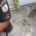 São Francisco-Granada, munições e drogas apreendidas em Barra do Itabapoana