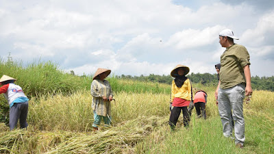 Begini Curhat Petani ke Deri Asta Saat Blusukan