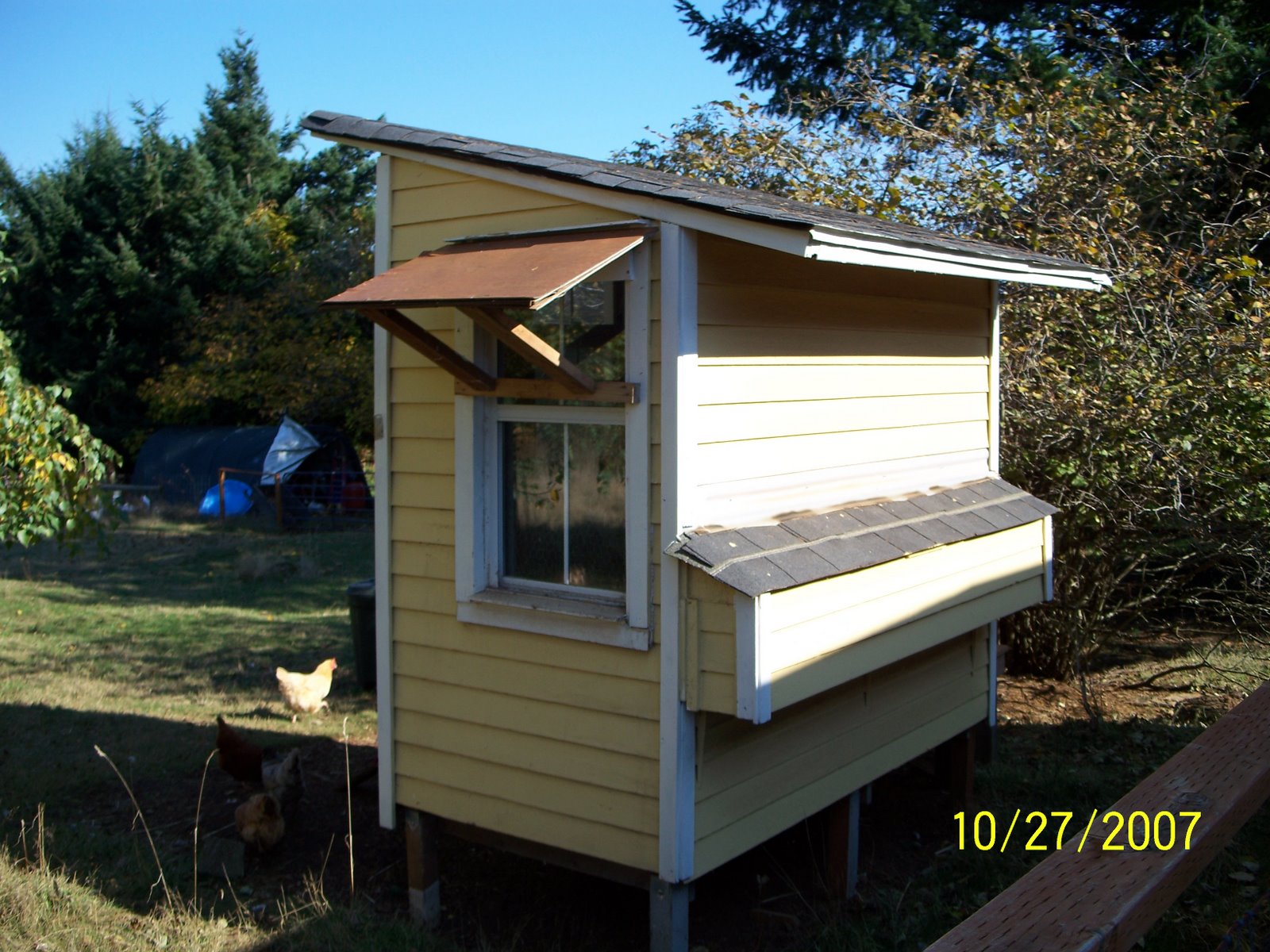 Free Plans For Building Chicken Coops