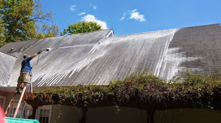 house washing and moss and mould roof treatments 