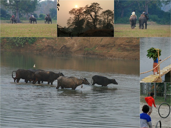 Chitwan
