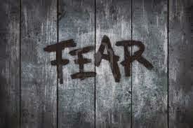  பயத்தினால் ஏற்படும் பாதிப்புகளும் சிகிச்சையும் தீர்வும் - Effects of Fear and Its Treatment - Vivekanantha Psychological Clinic, Velachery, Chennai,