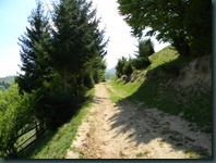DSCN8806