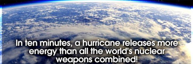 Did You Know These Fun Facts - Up Your General Knowledge 
