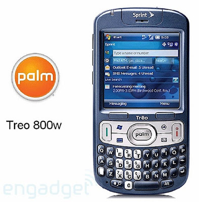 Palm