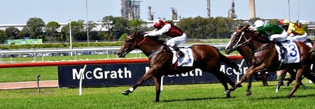 race 4_finish 1