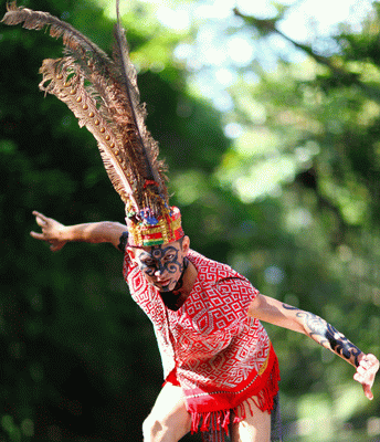 Guiding To Indonesia: Dayak Tribes Kalimantan