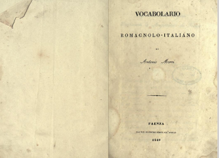 Dizionario romagnolo italiano