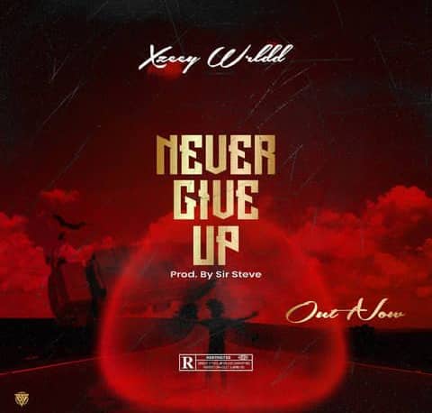 Download music - Never Give Up by  Xzeey Wrldd