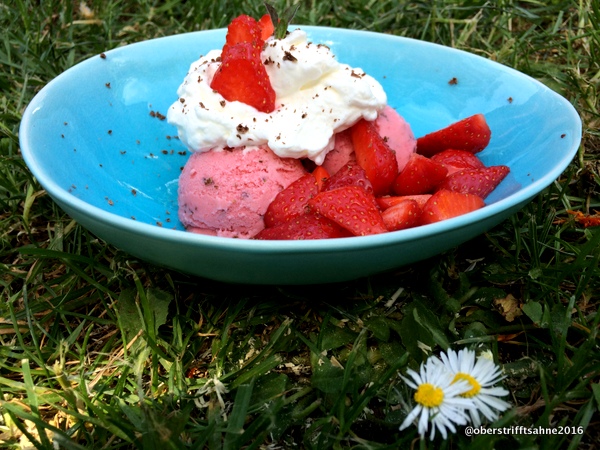 Erdbeer-Joghurt Eis mit Minze und Schokolade