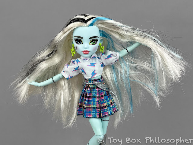 Monster High Doll, Frankie Stein with Accessories and Pet, Posable Fashion  Doll with Blue and Black Streaked Hair