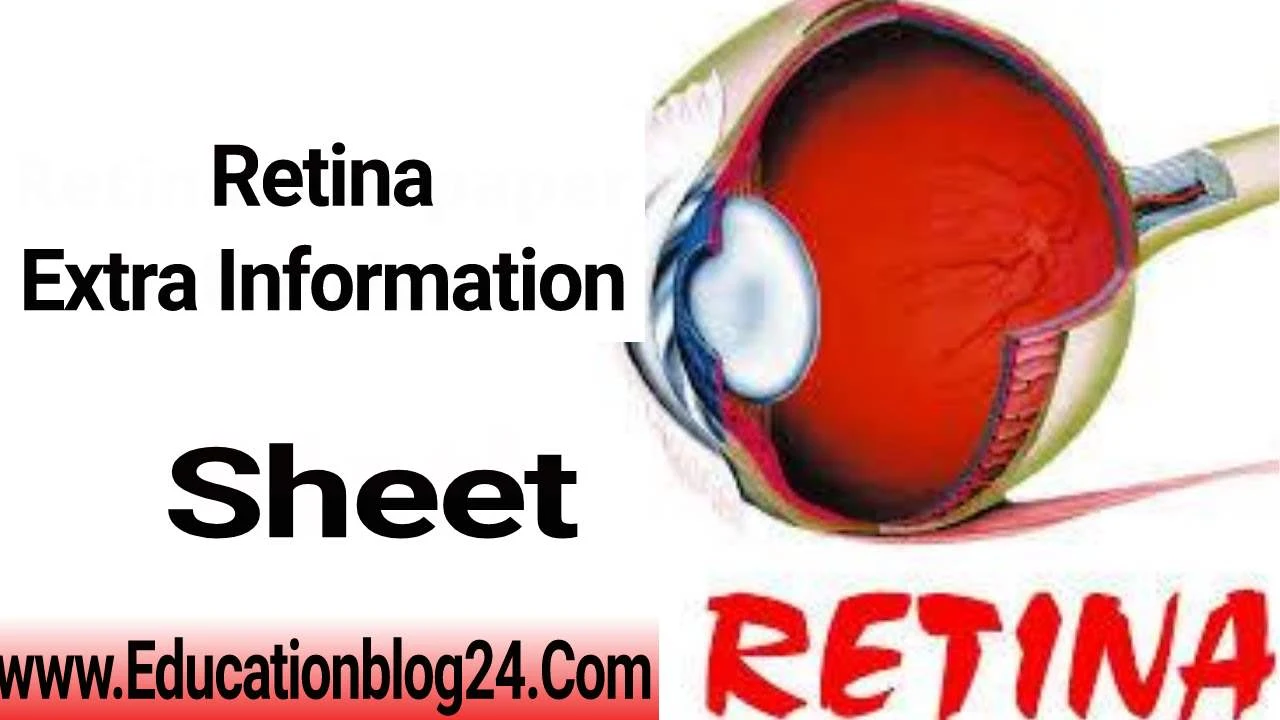 Retina Extra Information Sheet PDF Download,রেটিনা এক্সট্রা ইনফরমেশন শীট PDF,Retina Extra Sheet PDF