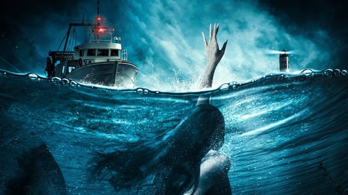 Mermaid Down 2019 film senza limiti