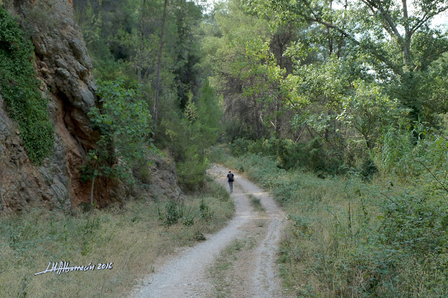 De regreso al Área Recreativa de Zagra