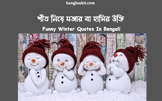 funny-winter-quotes-in-bengali-bangla-status-caption-quotation-post-sms-message