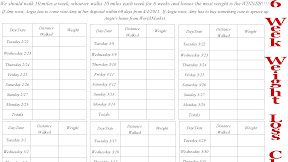 Weight Loss Challenge Office