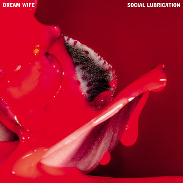 Social Lubrication Dream Wife Album