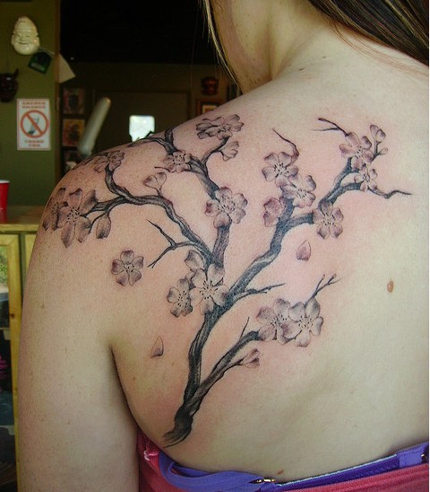 and beautiful delicate flower tattoo is the cherry blossom tattoos.