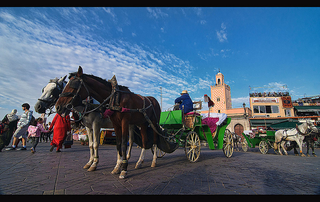 10 bonnes choses à faire à Marrakech, Votre guide touristique du Maroc