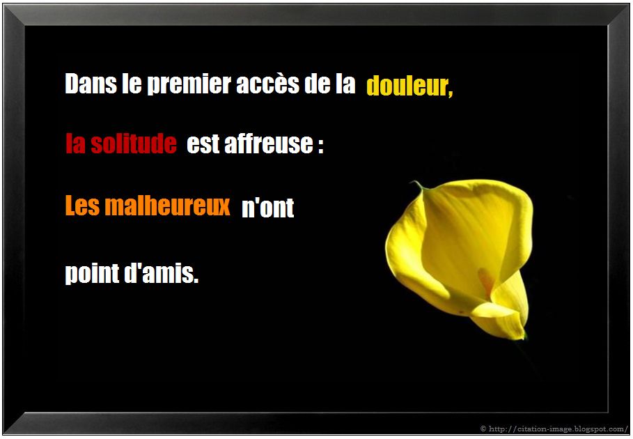 Citation en image : photo citation