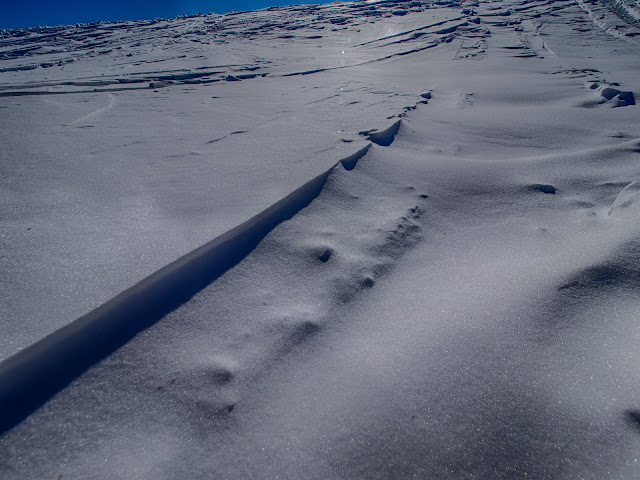 windblown snow