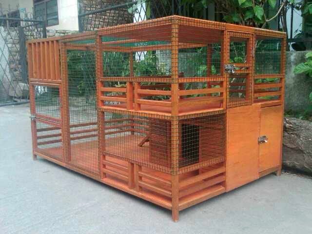 Desain rumah kucing dari kayu desain rumah minimalis terbaru