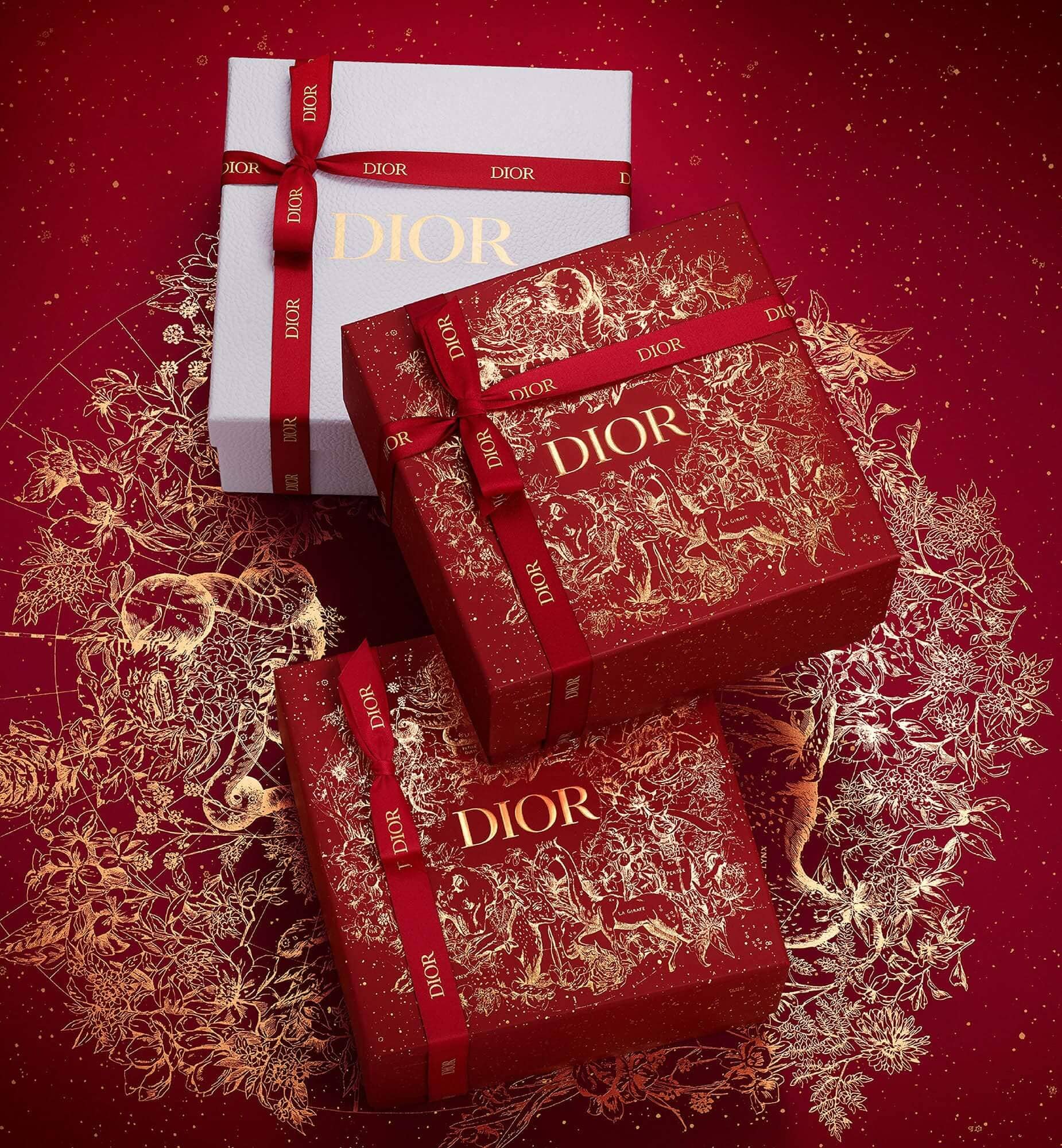 Tổng hợp 66 dior christmas box 2023 hay nhất  trieuson5