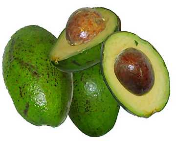 Avocado fruit