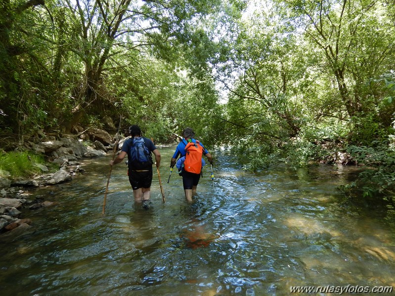 Acuática Benaoján - Jimera de Líbar por el río Guadiaro