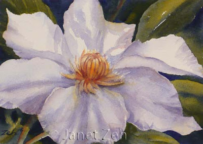 White Clematis Flower watercolor