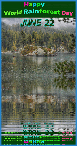 World Rain Forest Day Wish - June 22