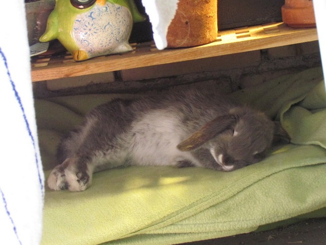 Image00633