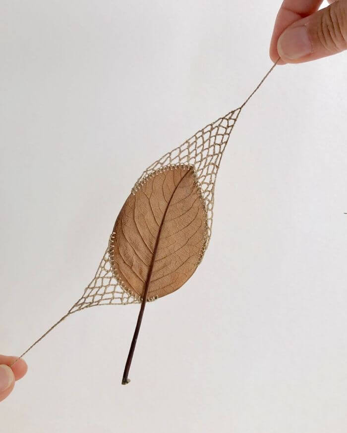 Crocheter Transforms Dried Leaves Into Works Of Art