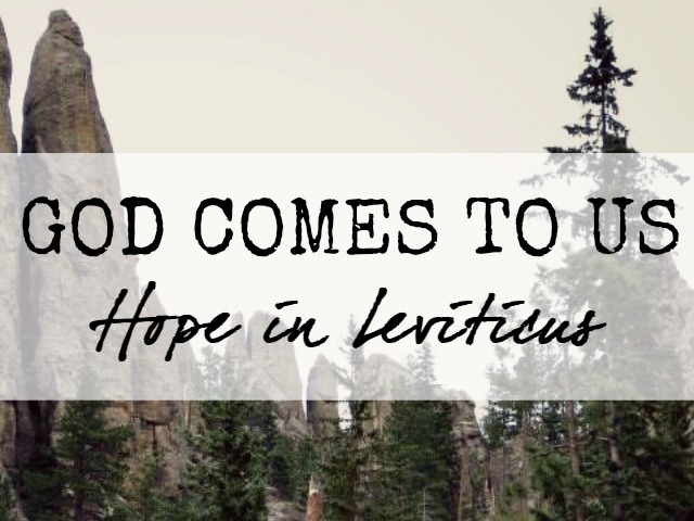hope in Leviticus God Comes to us