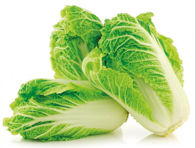 ຜັກ​ກາດ​ຂາວ ຜັກ​ກາດ​ຂາວ ຊື່​ສາ​ມັນ Chinese Cabbage ຜັກ​ກາດ​ຂາວ ຊື່​ວິ­ທະ­ຍາ­ສາດ Brassica rapa L. (Brassica pekinensis var. cylindrica Tsen & S.H.Lee) (ຊື່​ພ້ອງ​ວິ­ທະ­ຍາ­ສາດ Brassica chinensis var. pekinensis (Lour.) V.G. Sun) ຈັດ​ຢູ່​ໃນ​ວົງ​ຜັກ​ກາດ (BRASSICACEAE หຫລື CRUCIFERAE)